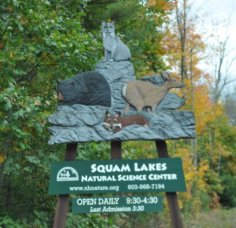 squam-lakes-natural-science