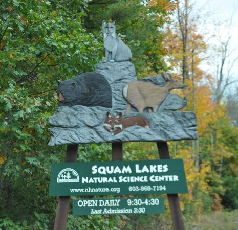 Squam Lake Natural Science Museum Squam Lake Natural Science Museum